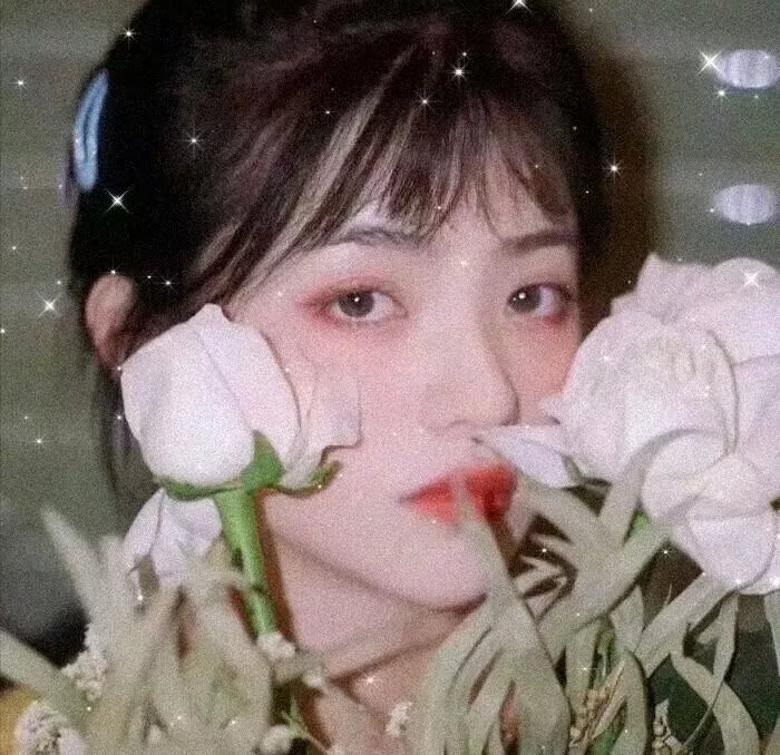 龙族第二季
